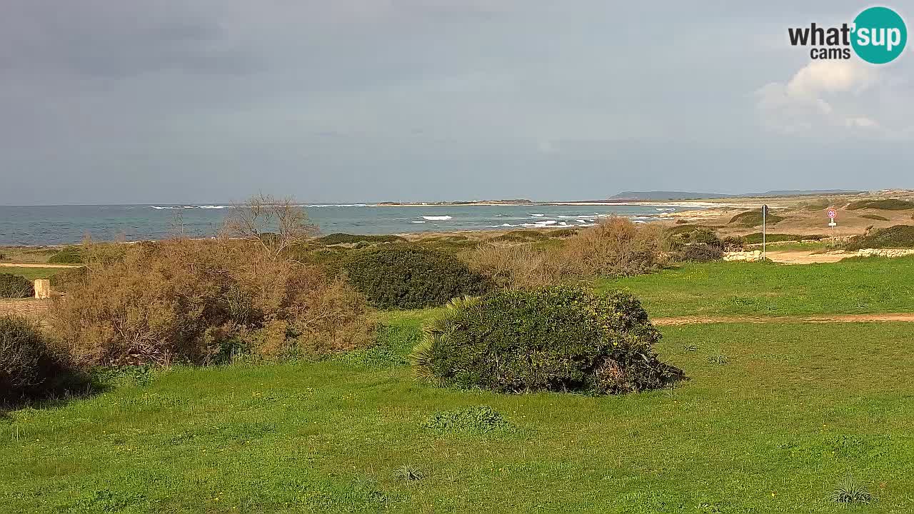 Plaža Mari Ermi | Is Arutas – Oristano