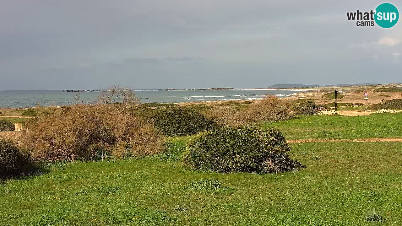 Playa Mari Ermi | Is Arutas – Oristano