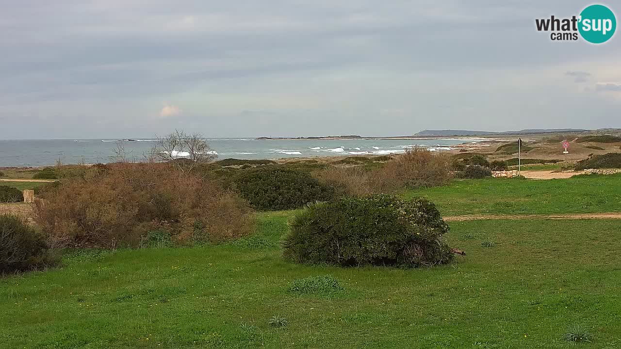 Mari Ermi Strand | Is Arutas – Oristano