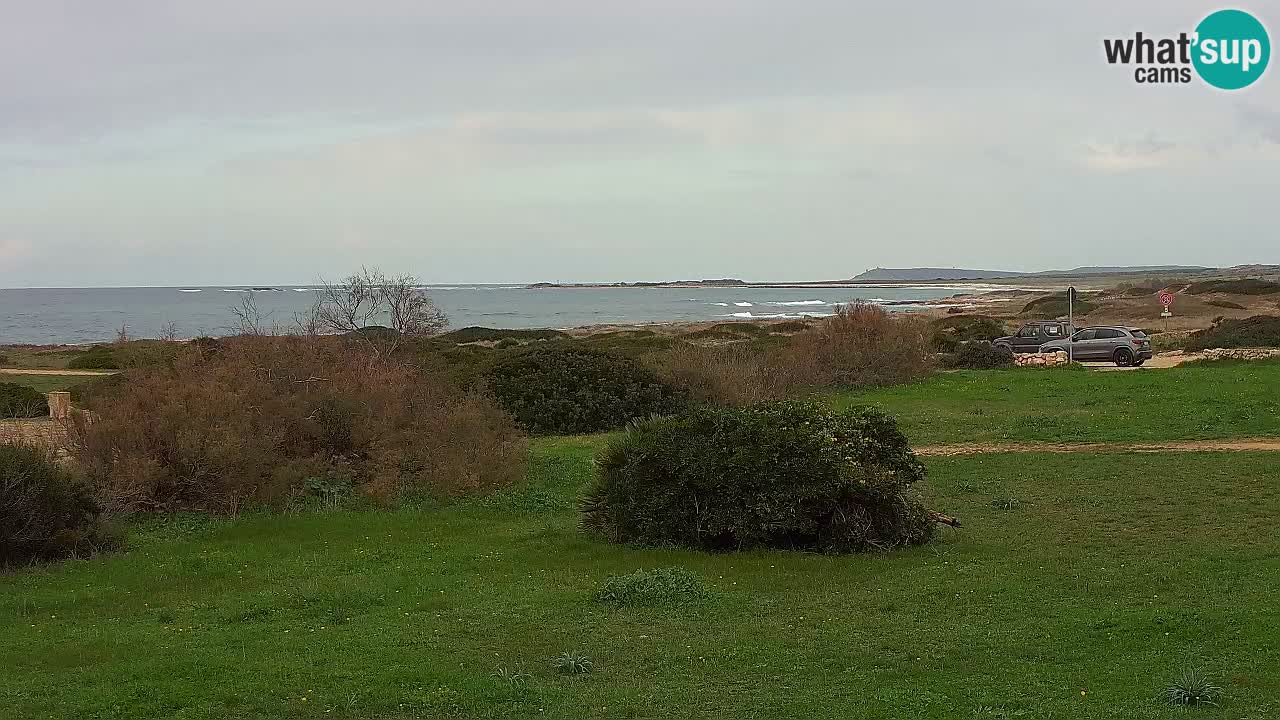 Plaža Mari Ermi | Is Arutas – Oristano