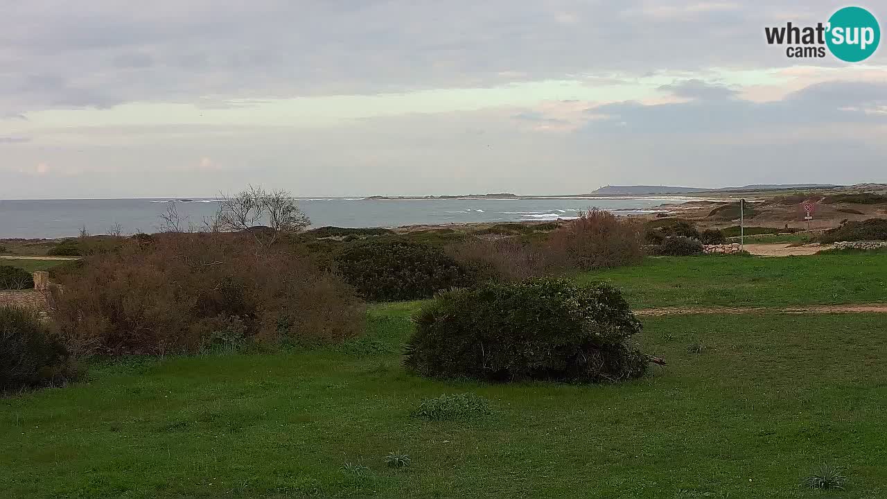 Playa Mari Ermi | Is Arutas – Oristano