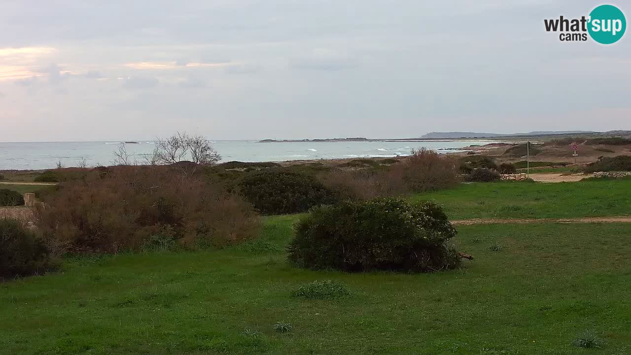 Plaža Mari Ermi | Is Arutas – Oristano