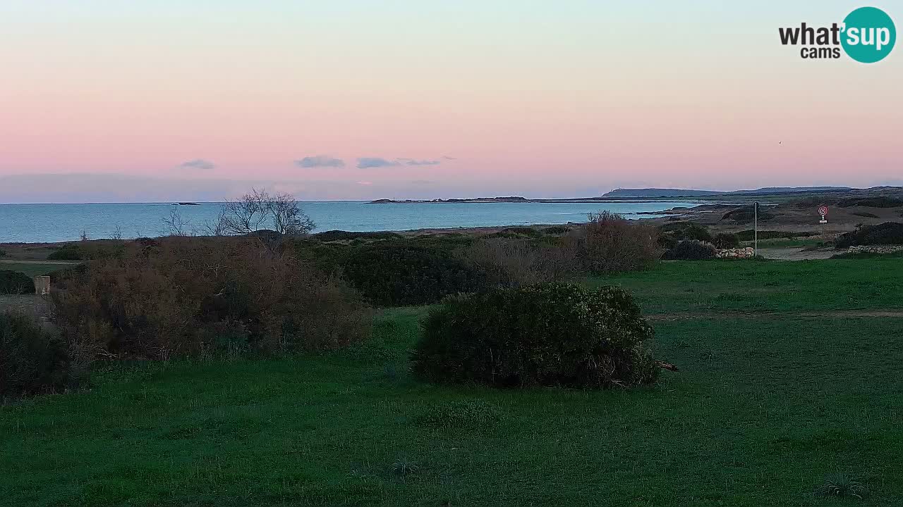 Plaža Mari Ermi | Is Arutas – Oristano