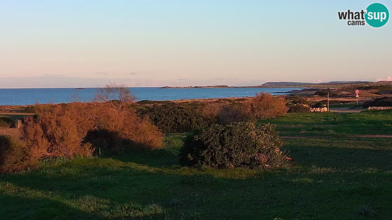 Plaža Mari Ermi | Is Arutas – Oristano