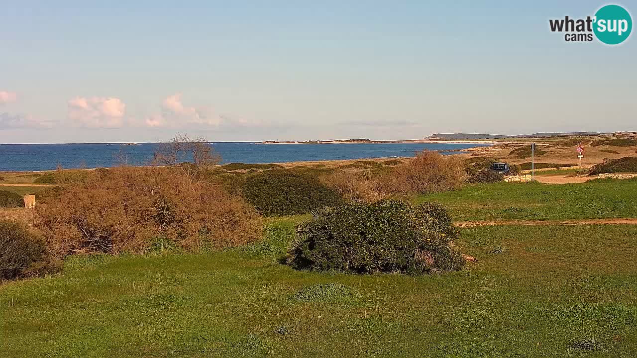 Mari Ermi Strand | Is Arutas – Oristano