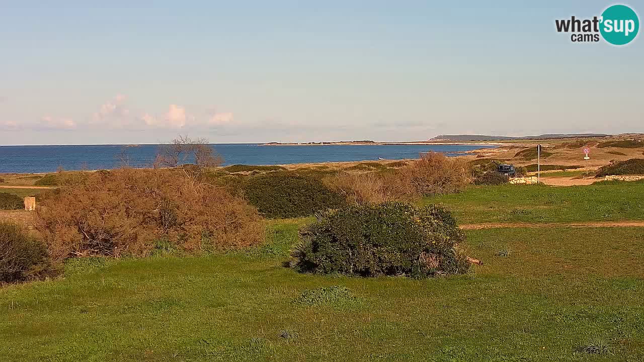 Plage Mari Ermi | Is Arutas – Oristano