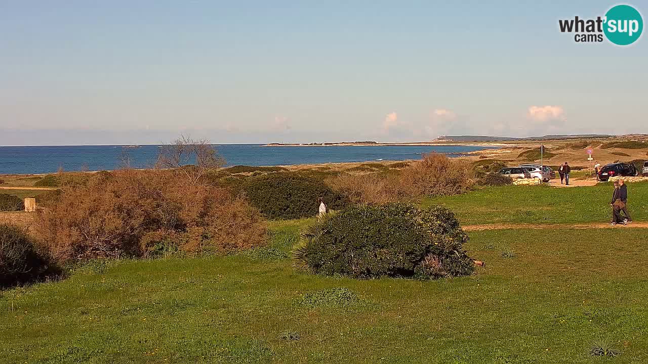 Mari Ermi Strand | Is Arutas – Oristano
