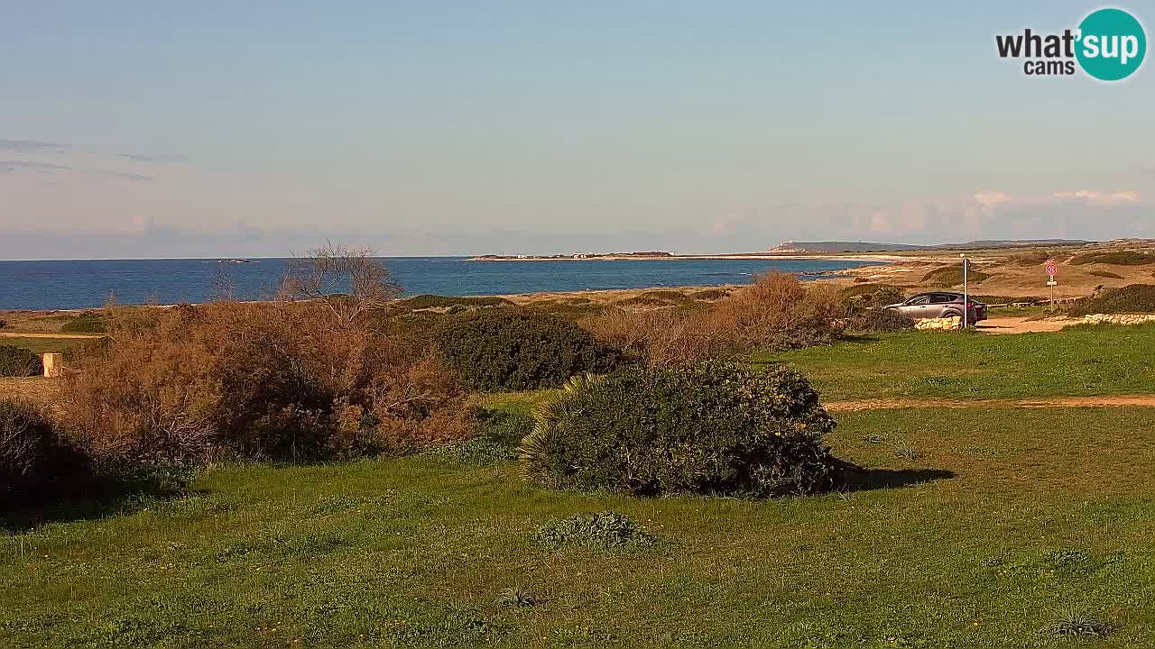 Playa Mari Ermi | Is Arutas – Oristano