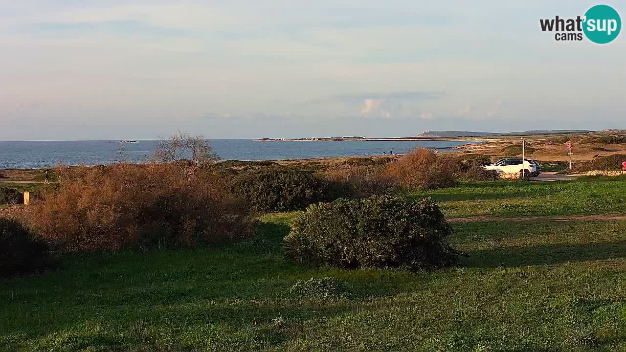 Plaža Mari Ermi | Is Arutas – Oristano