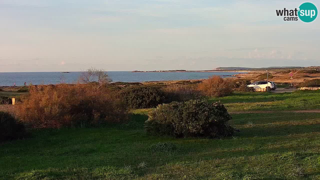 Spiaggia Mari Ermi | Is Arutas – Oristano