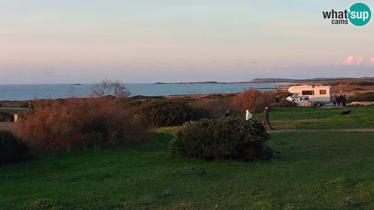 Mari Ermi Strand | Is Arutas – Oristano