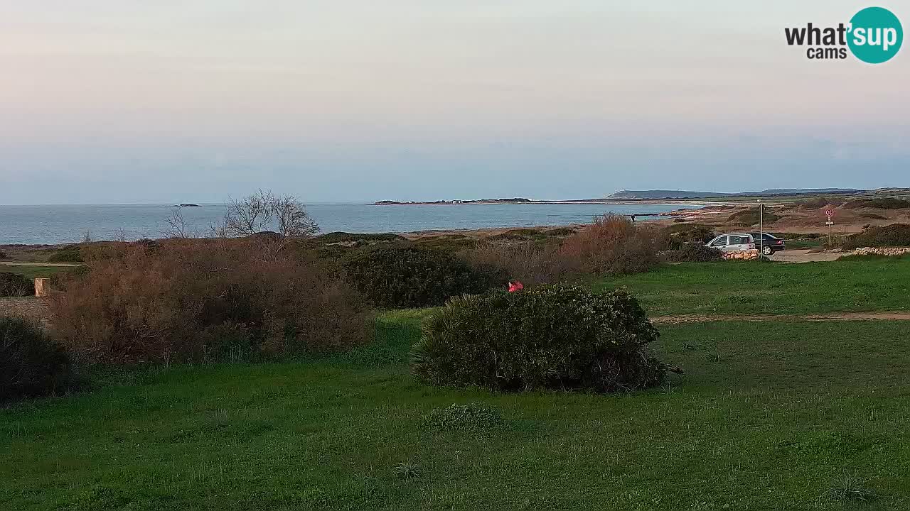 Mari Ermi Strand | Is Arutas – Oristano