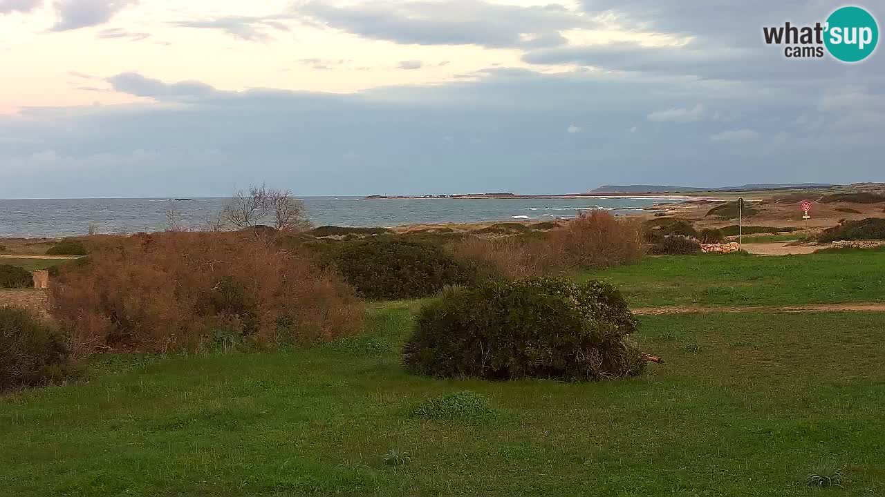 Mari Ermi Strand | Is Arutas – Oristano