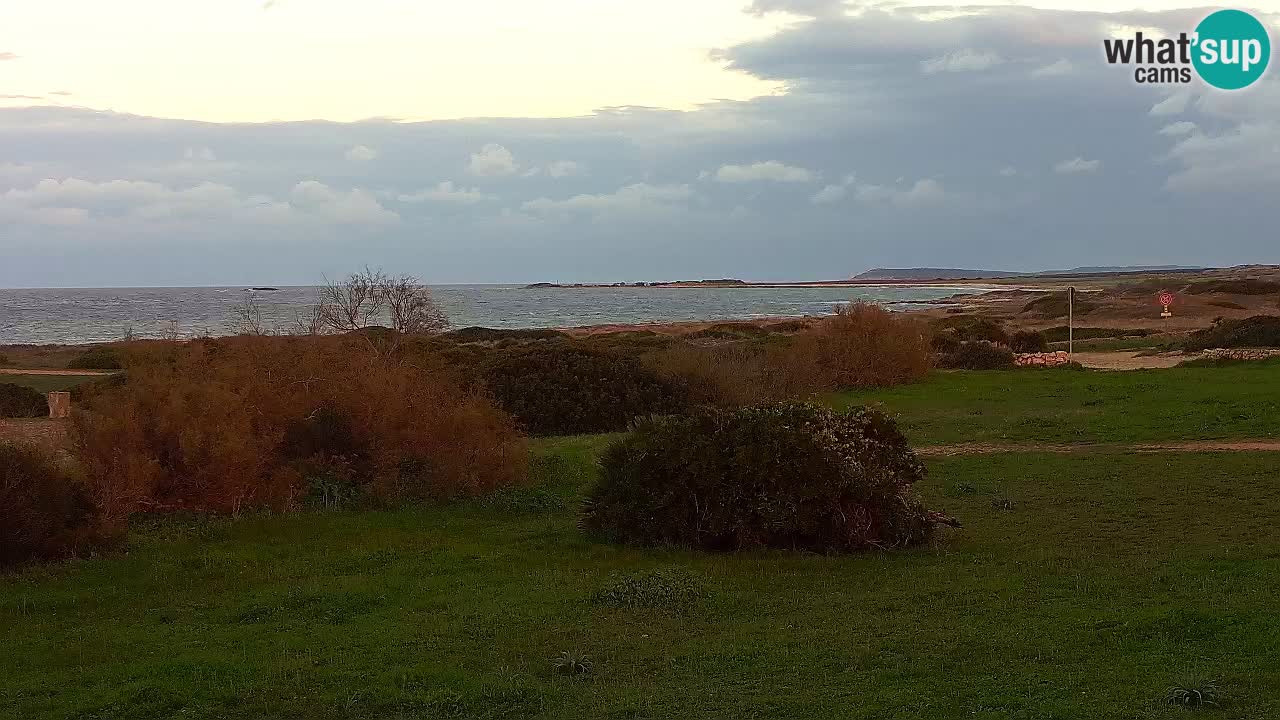 Mari Ermi Strand | Is Arutas – Oristano
