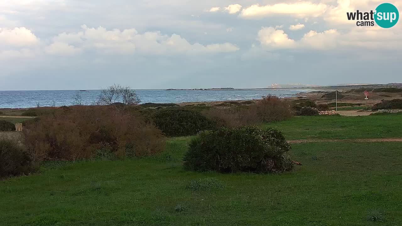 Mari Ermi Strand | Is Arutas – Oristano