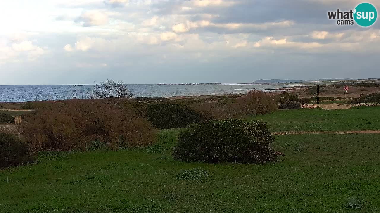 Plaža Mari Ermi | Is Arutas – Oristano