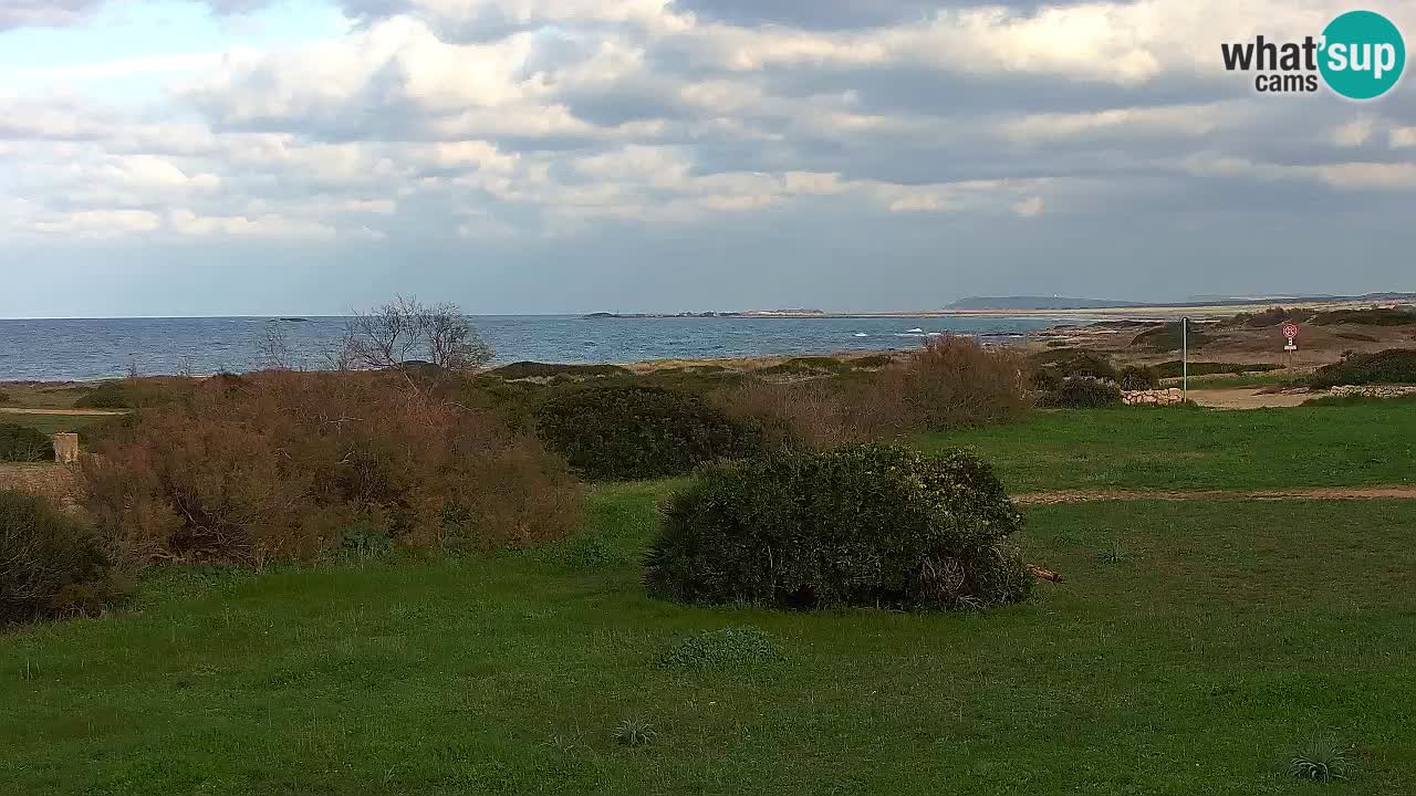 Mari Ermi Strand | Is Arutas – Oristano