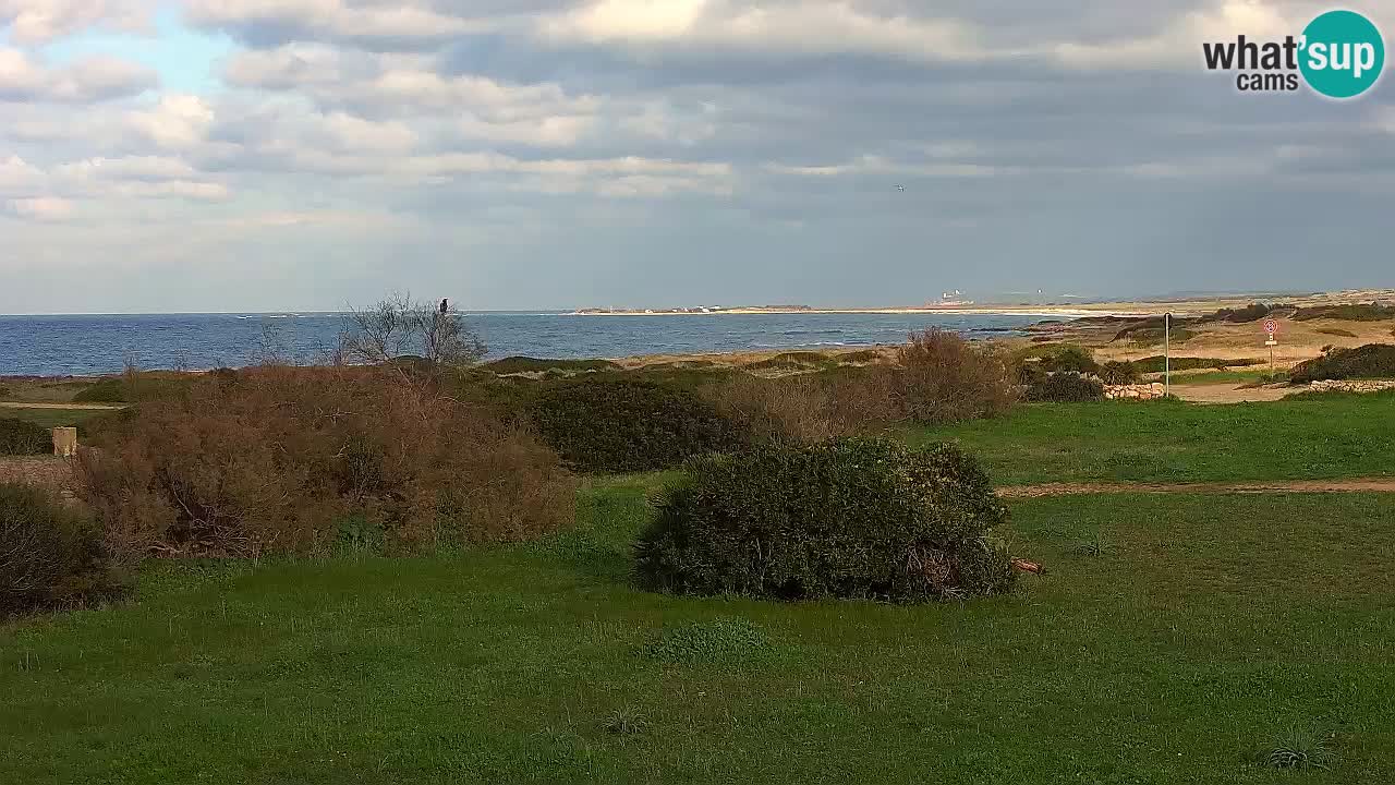 Playa Mari Ermi | Is Arutas – Oristano