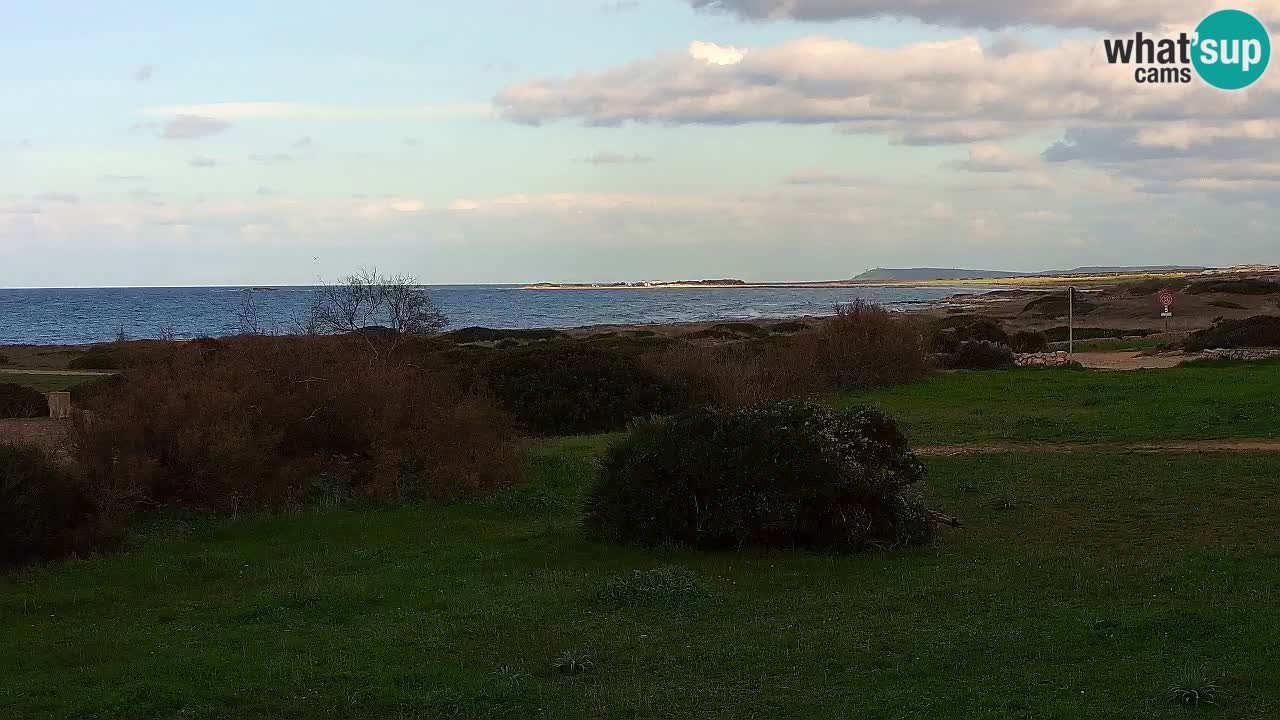 Mari Ermi Strand | Is Arutas – Oristano