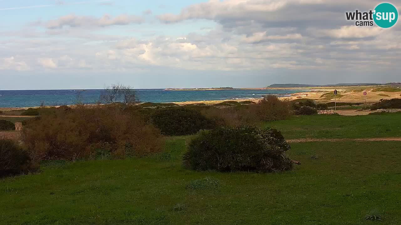 Plaža Mari Ermi | Is Arutas – Oristano