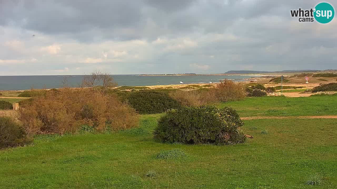 Playa Mari Ermi | Is Arutas – Oristano