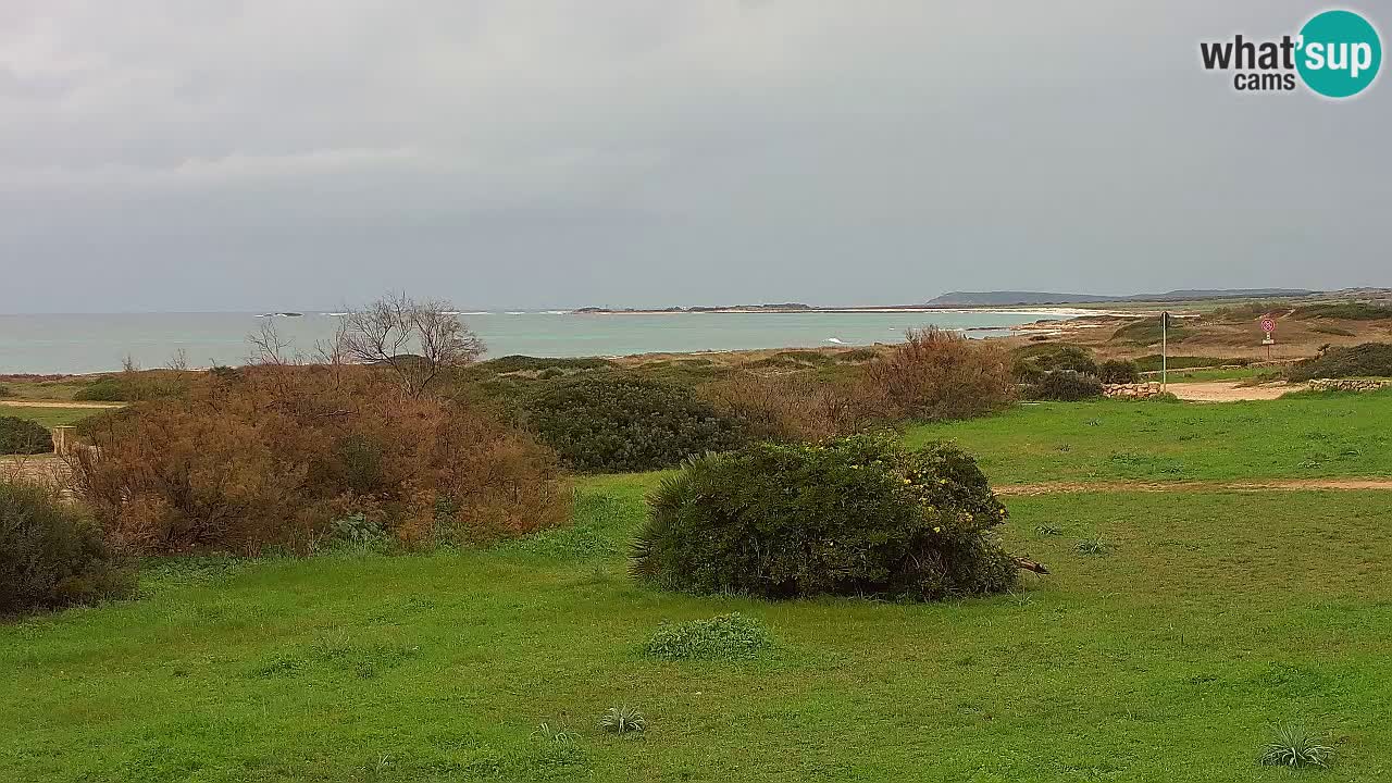 Plaža Mari Ermi | Is Arutas – Oristano