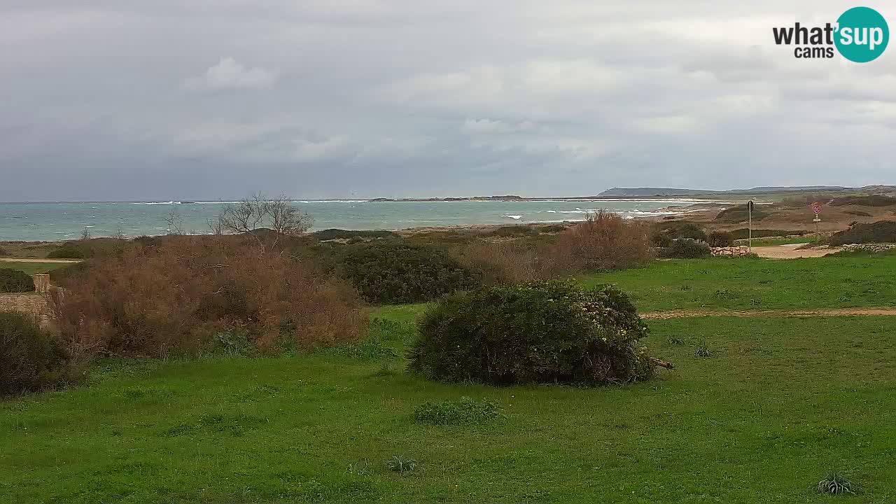 Playa Mari Ermi | Is Arutas – Oristano