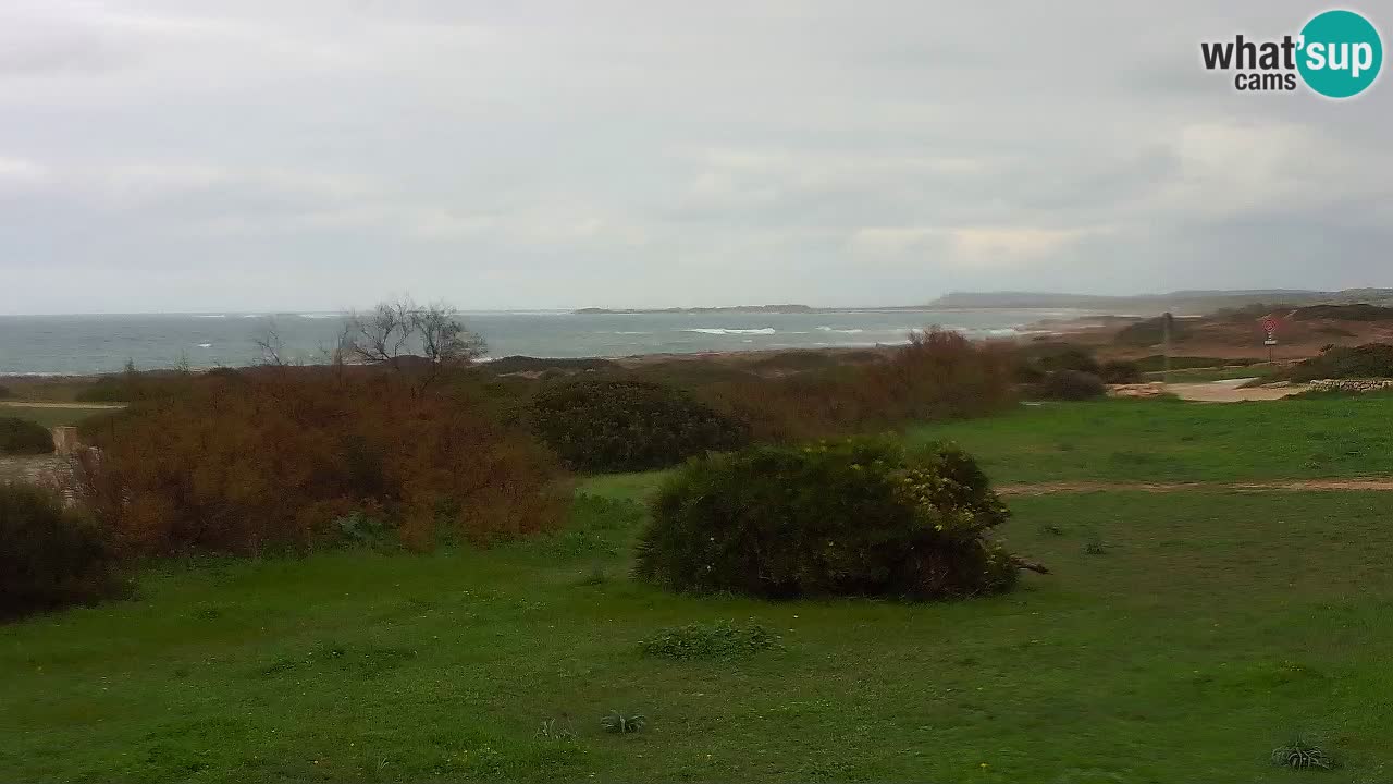 Plaža Mari Ermi | Is Arutas – Oristano