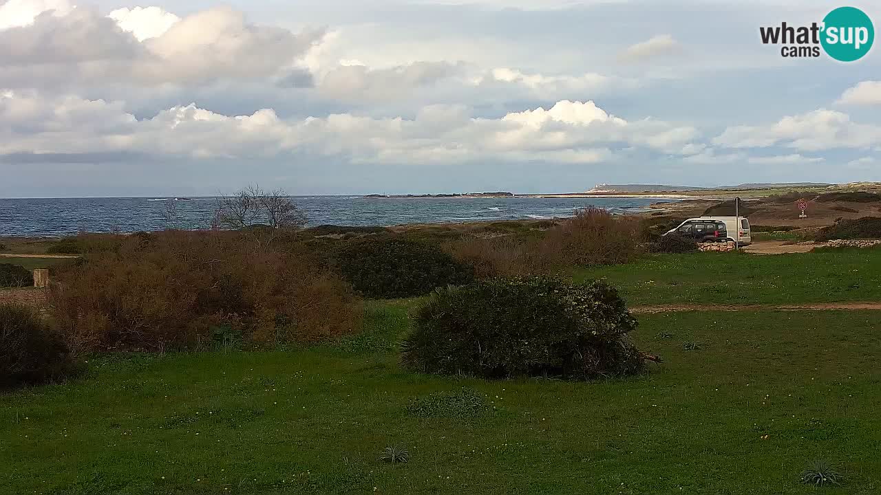 Mari Ermi Strand | Is Arutas – Oristano