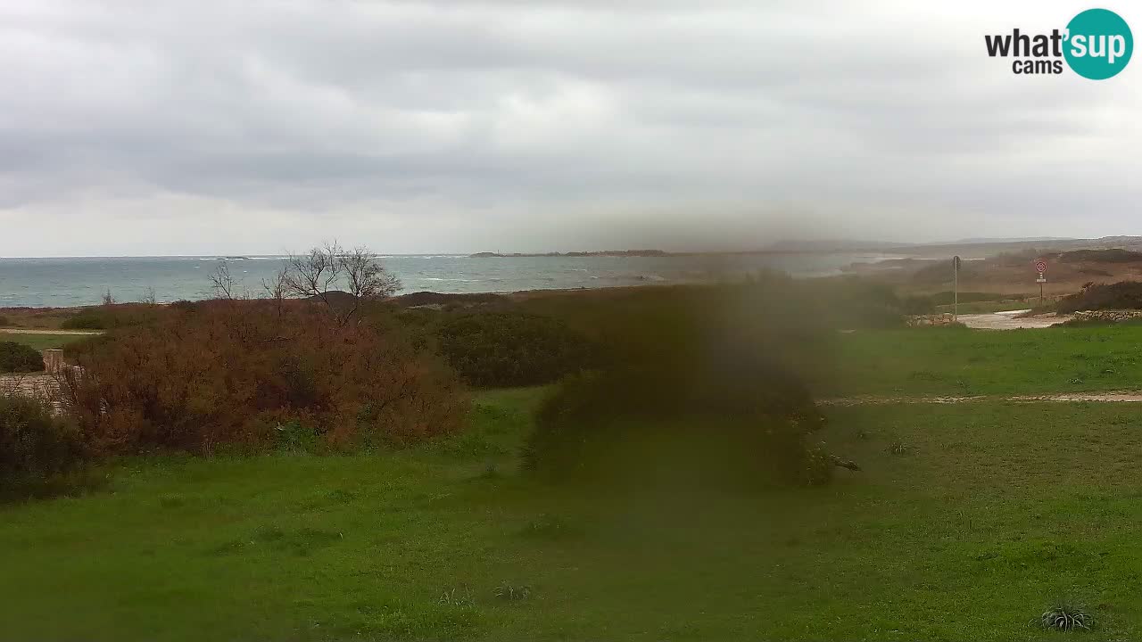 Mari Ermi beach | Is Arutas – Oristano