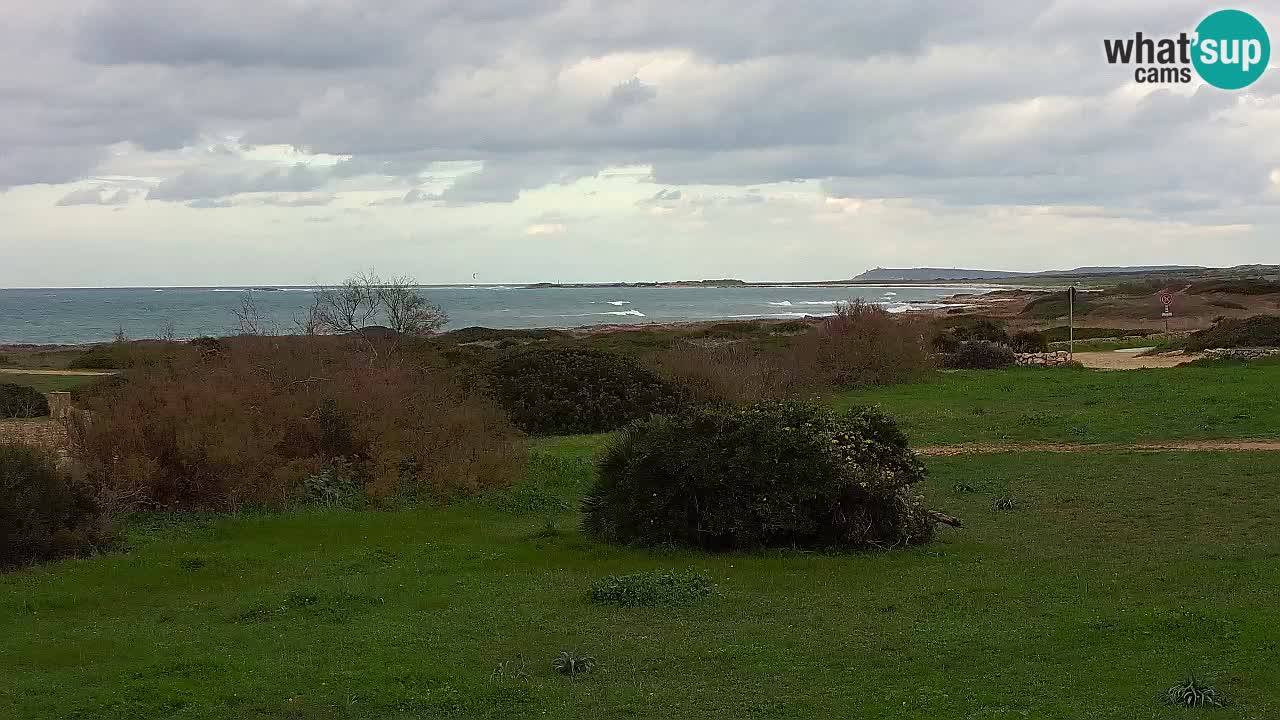 Mari Ermi Strand | Is Arutas – Oristano