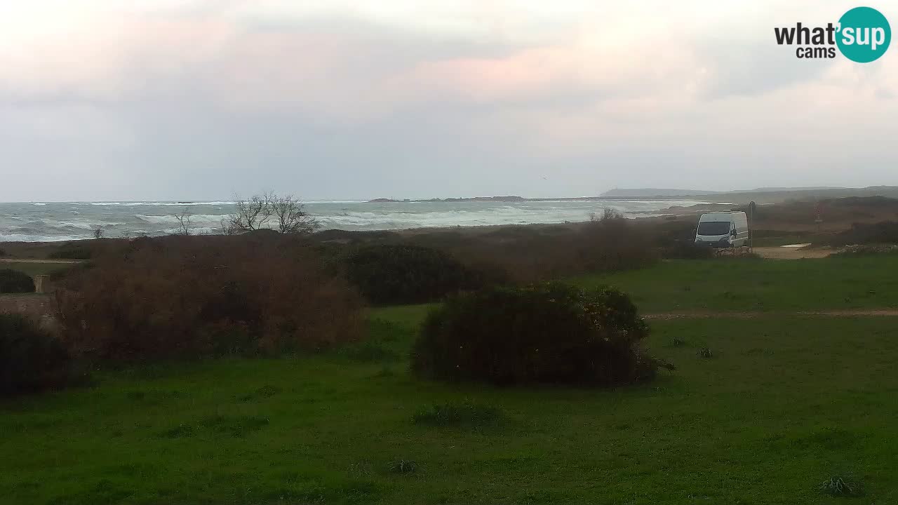 Plage Mari Ermi | Is Arutas – Oristano