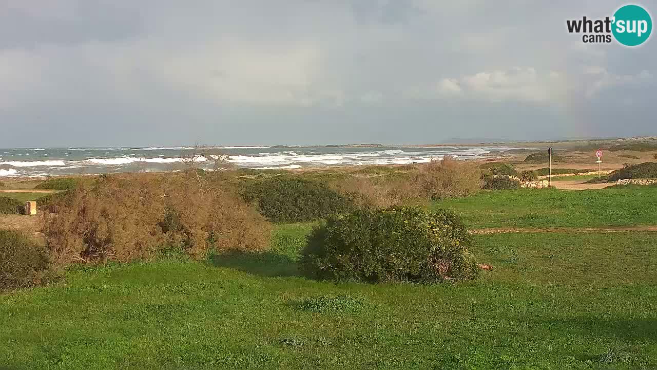 Plaža Mari Ermi | Is Arutas – Oristano