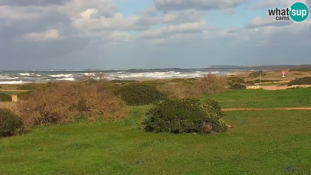 Mari Ermi beach | Is Arutas – Oristano