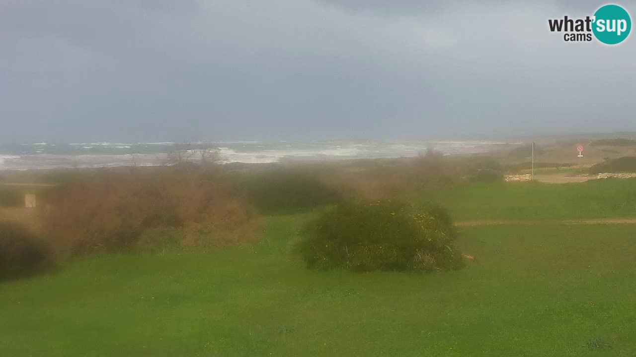 Mari Ermi Strand | Is Arutas – Oristano