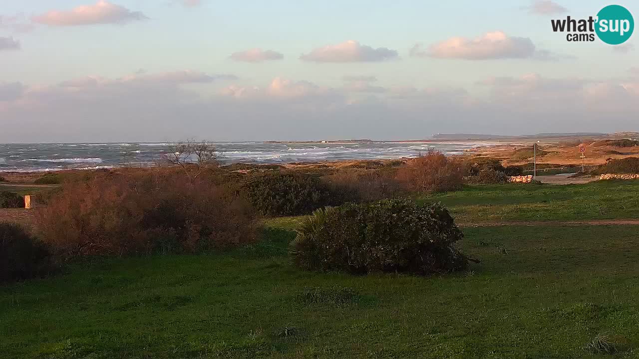 Plage Mari Ermi | Is Arutas – Oristano