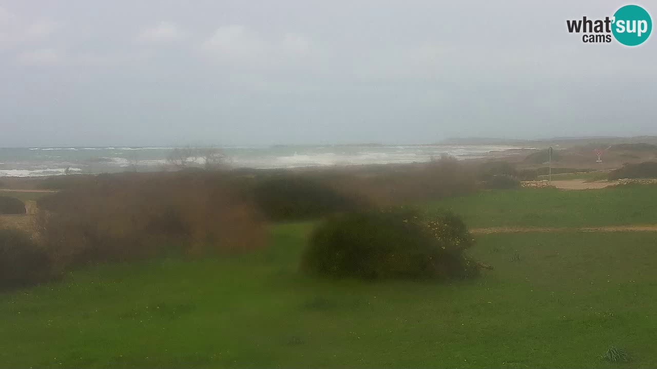 Spiaggia Mari Ermi | Is Arutas – Oristano