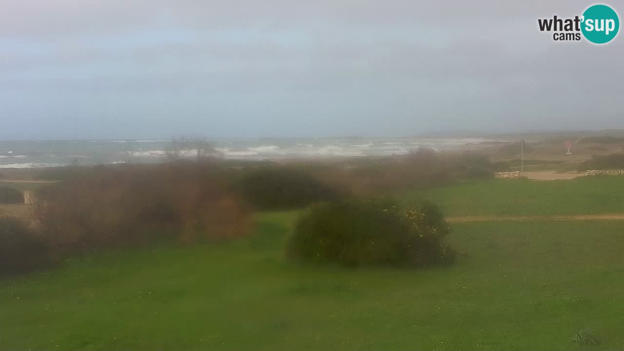 Mari Ermi Strand | Is Arutas – Oristano