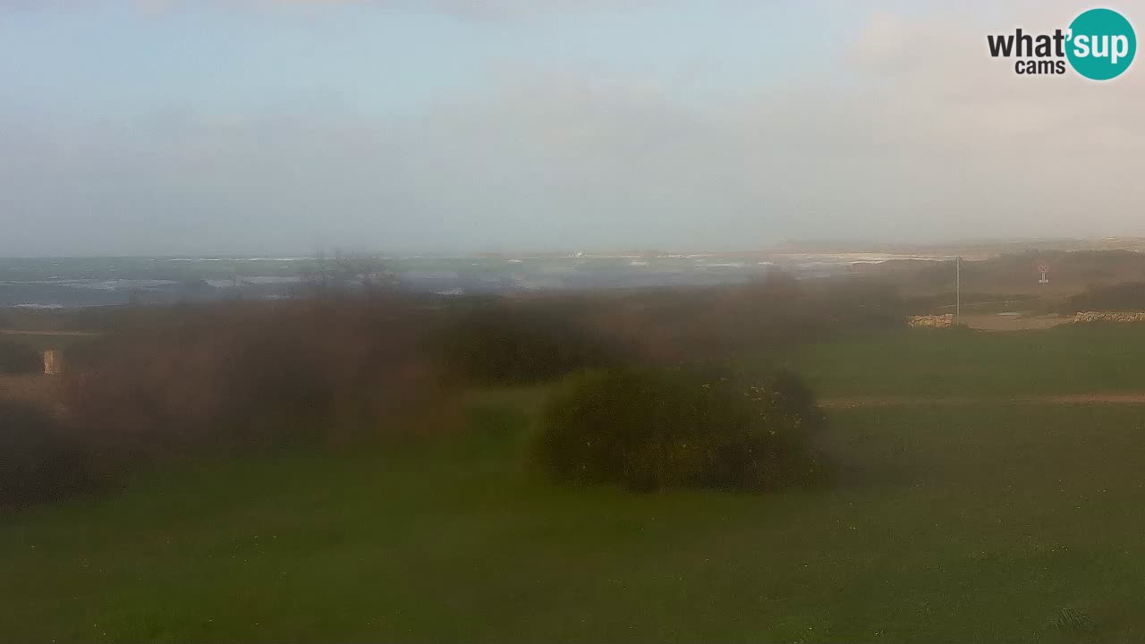 Plaža Mari Ermi | Is Arutas – Oristano