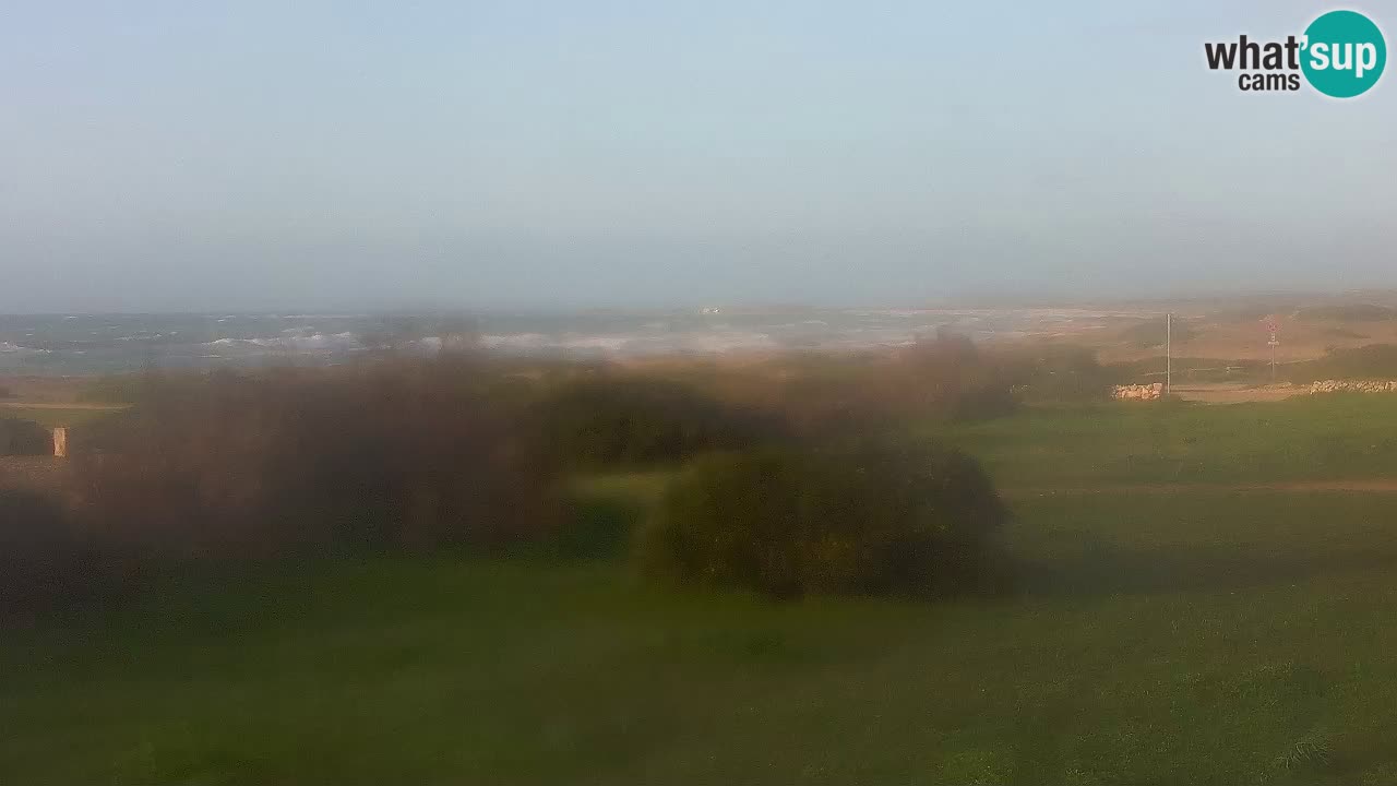 Playa Mari Ermi | Is Arutas – Oristano