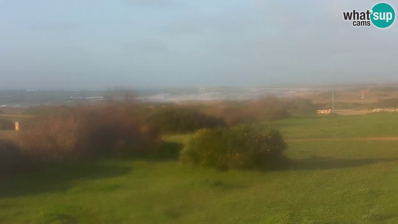 Plaža Mari Ermi | Is Arutas – Oristano