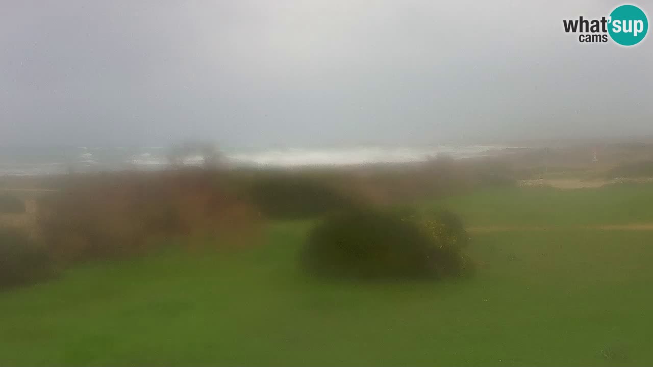 Plaža Mari Ermi | Is Arutas – Oristano