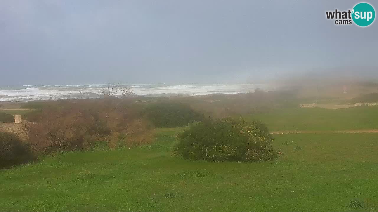 Playa Mari Ermi | Is Arutas – Oristano