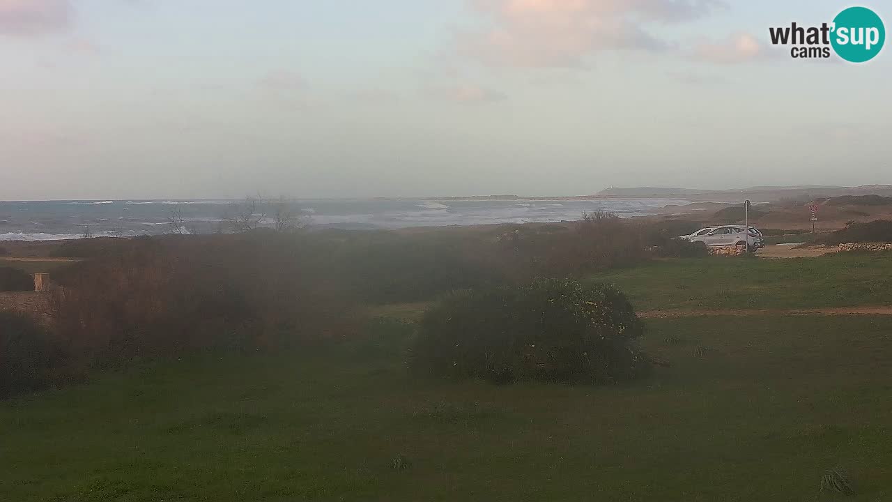 Mari Ermi Strand | Is Arutas – Oristano