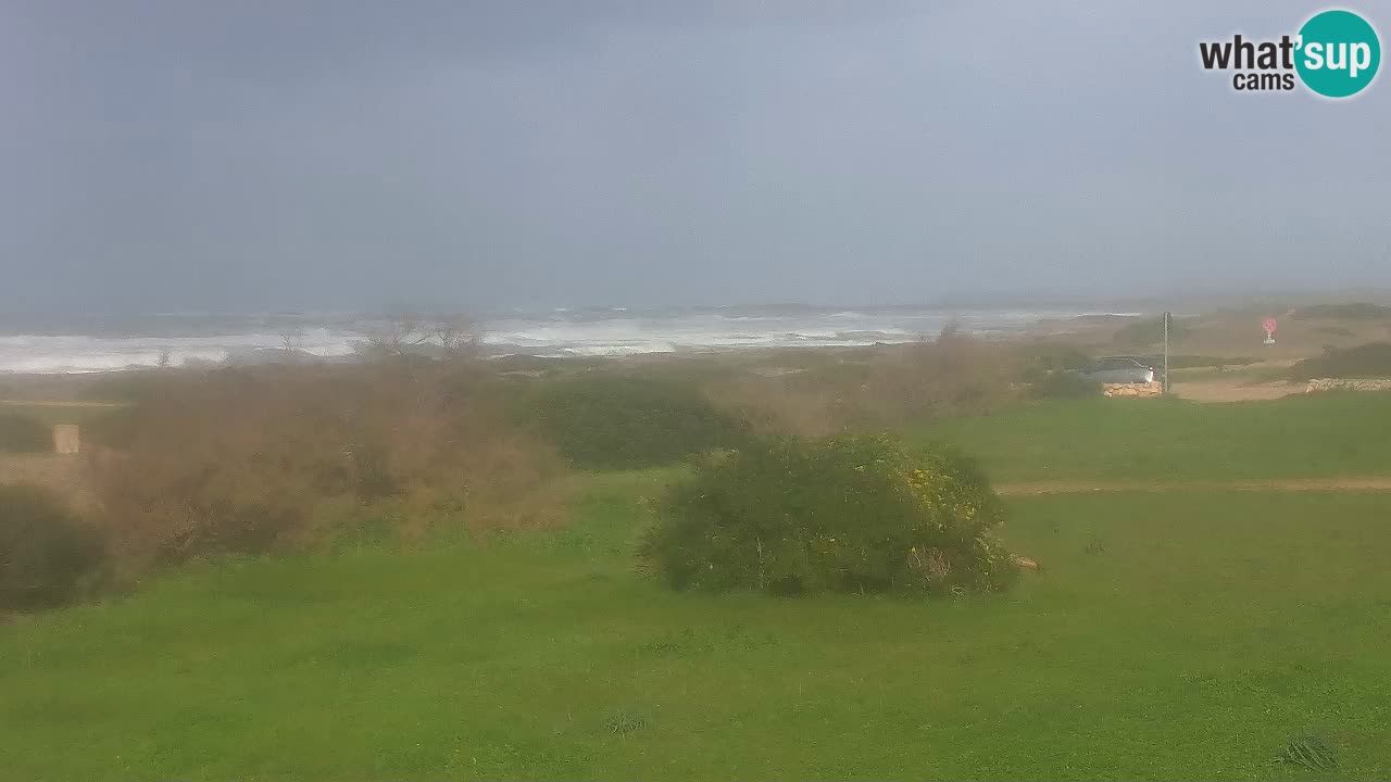 Spiaggia Mari Ermi | Is Arutas – Oristano