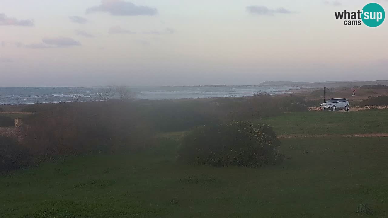 Playa Mari Ermi | Is Arutas – Oristano