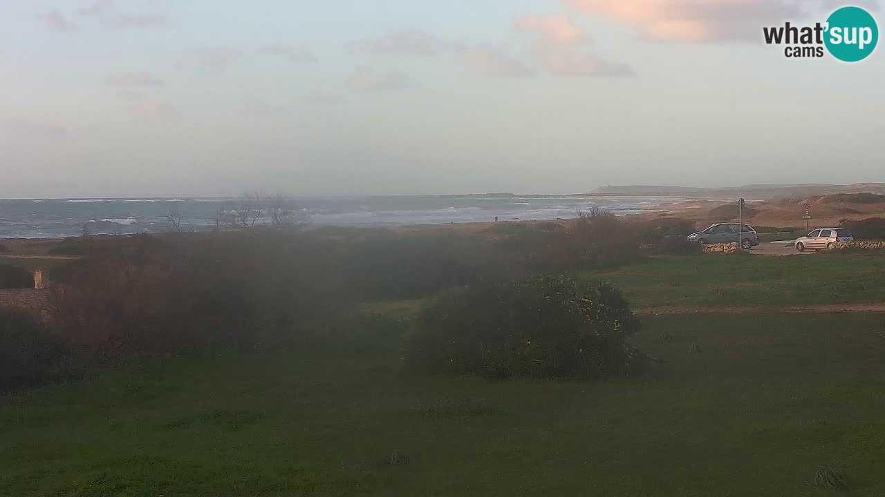 Plaža Mari Ermi | Is Arutas – Oristano