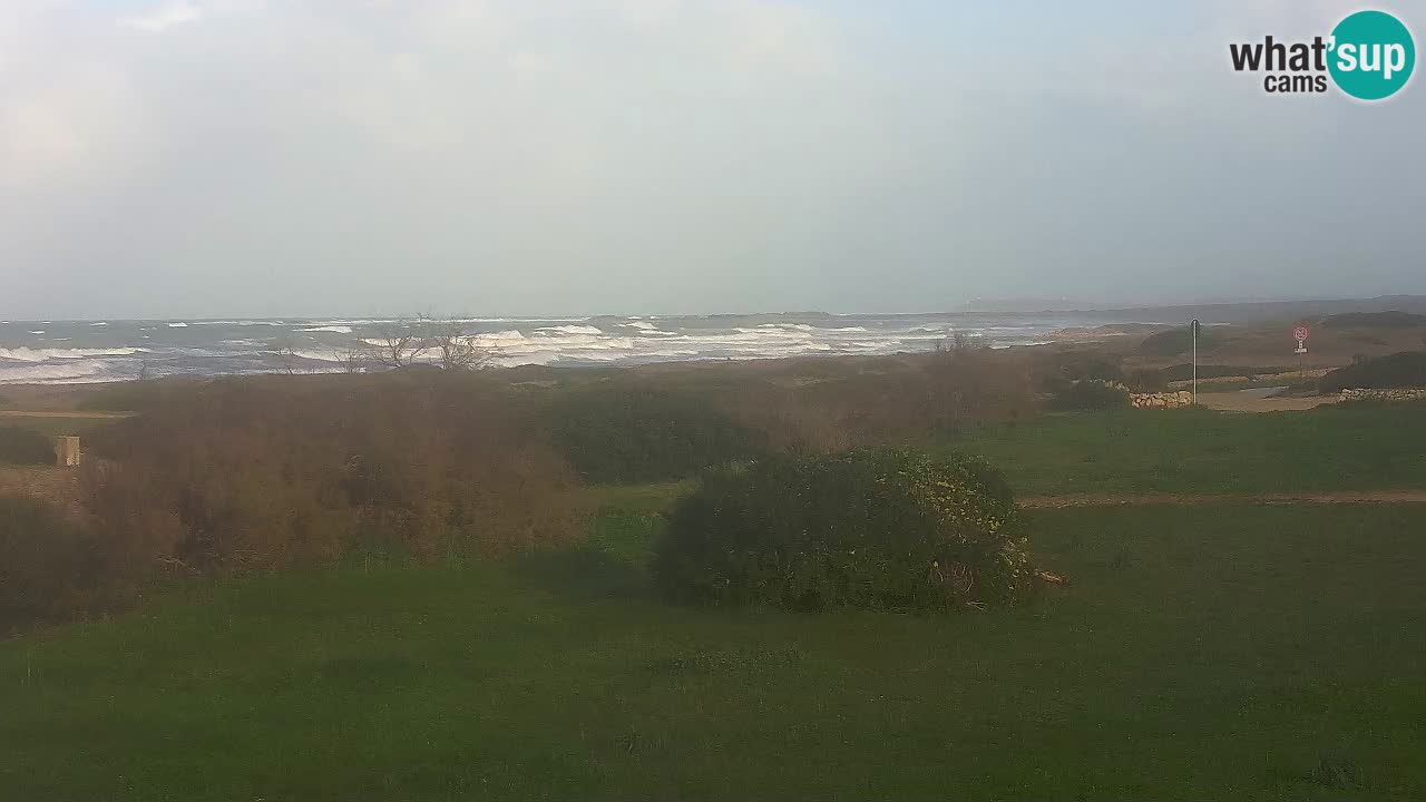 Playa Mari Ermi | Is Arutas – Oristano