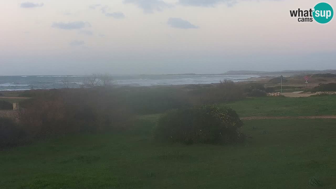 Mari Ermi Strand | Is Arutas – Oristano