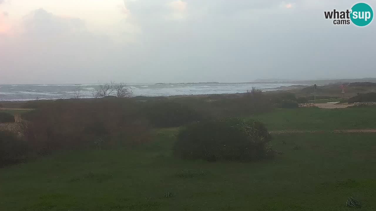 Plaža Mari Ermi | Is Arutas – Oristano